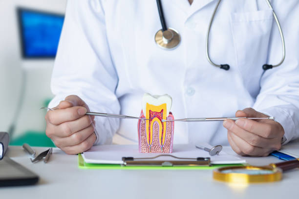 Best Tooth Pain Emergency Relief  in Stonewood, WV